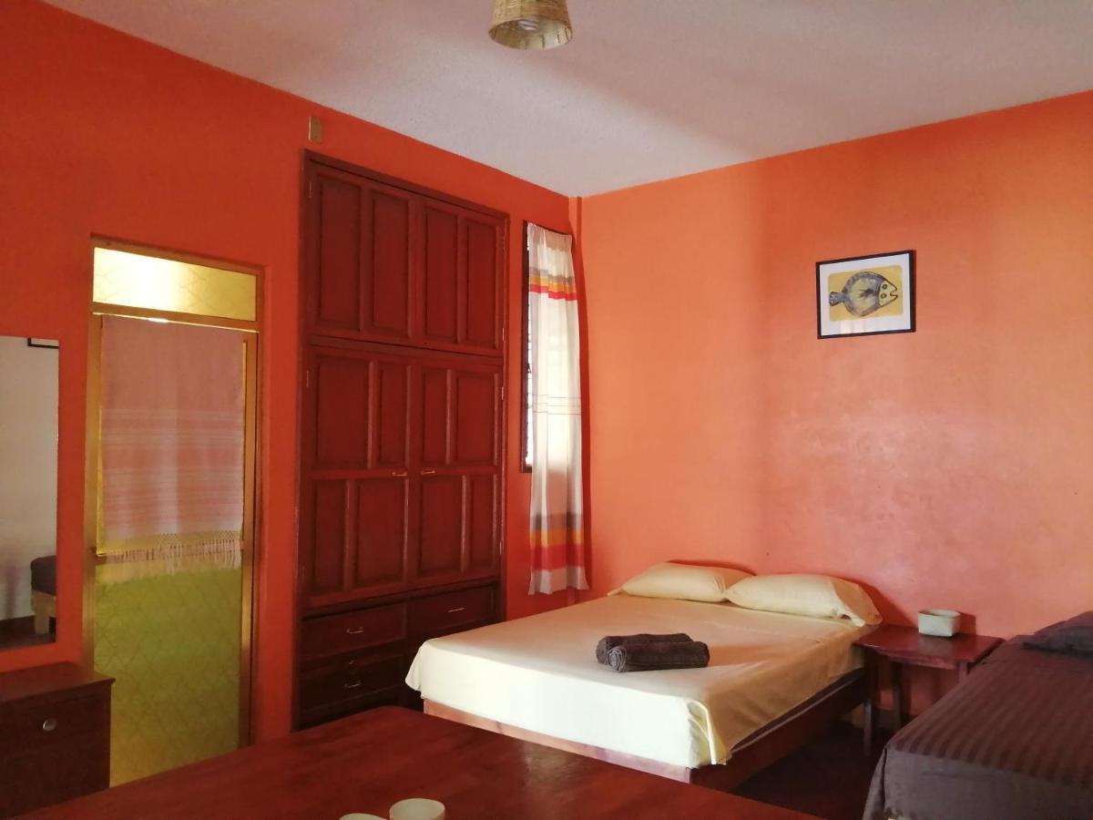 Hostal Alegria De Oaxaca Luaran gambar